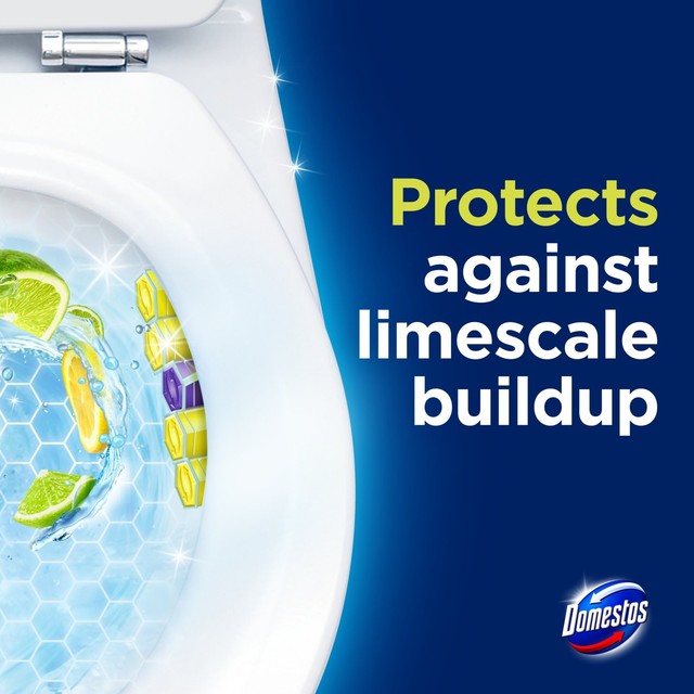 Domestos lime toilet rim block duo pack - British product