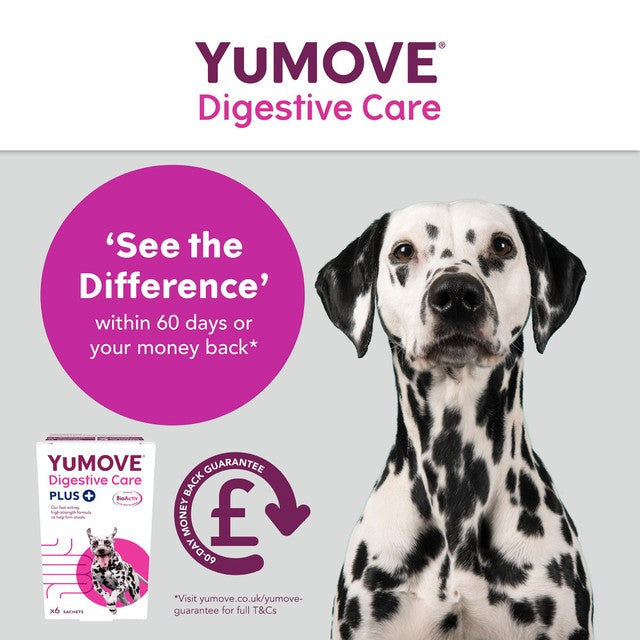 Lintbells YuMOVE PLUS dog digestive health supplement (British brand)