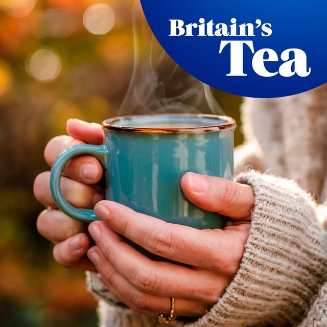 Tetley black tea bags (British brand)