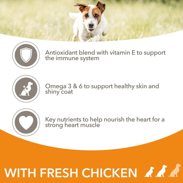 Iams adult dog food small/medium breed with chicken 2kg, UK version