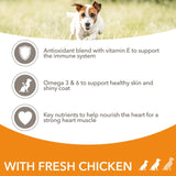 Iams adult dog food small/medium breed with chicken 2kg, UK version
