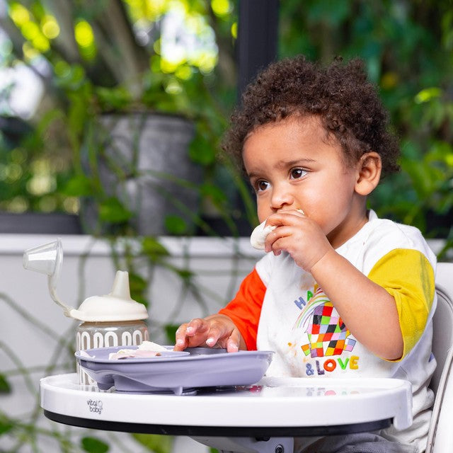 Vital Baby suction plate natural berry (British brand)