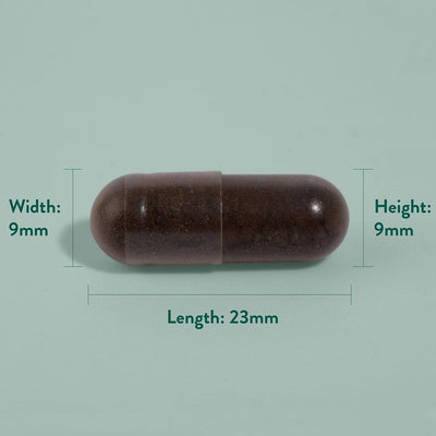Complément alimentaire Capsules de Propolis d'abeille Haute Puissance Holland & Barrett 1000mg 90