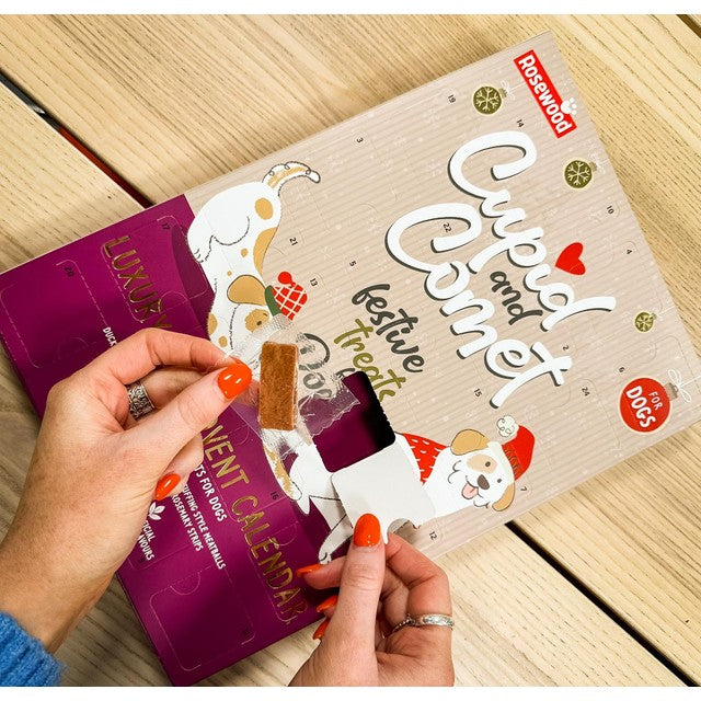 Cupid & Comet Dog Advent Calendar - British product