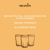 Monin Vanilla Syrup