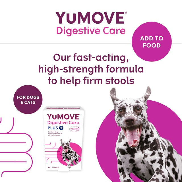 Lintbells YuMOVE PLUS dog digestive health supplement (British brand)