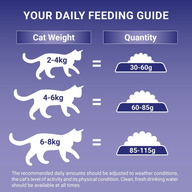 Purina One salmon dry cat food 800g, imported from the UK