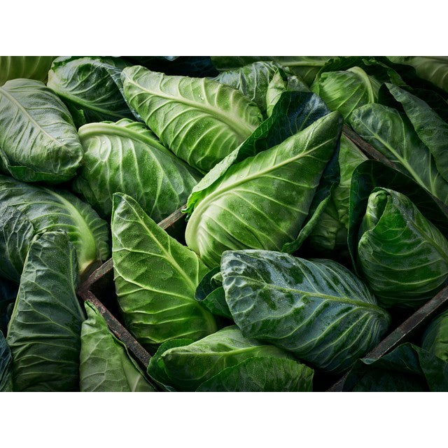 Packaged M&S Sweetheart Cabbage, imported from the UK