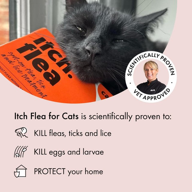 Itch Flea Treatment for Cats 2 pack, UK version
