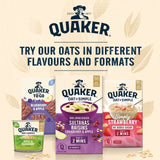 Quaker apple & blueberry porridge pot 57g (British brand)