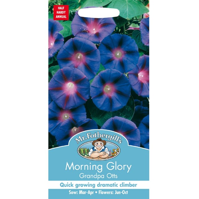 Mr Fothergills Seeds Morning Glory Flower Seeds, imported from the UK