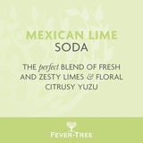 Fever-Tree Mexican Lime Soda 500ml - British product