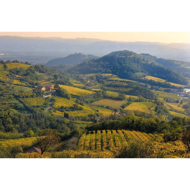 Faldeo Prosecco 75cl - British product