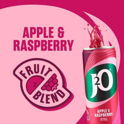 Boisson J2O Pomme et Framboise 12 x 250ml