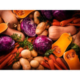 M&S small butternut squash 600g, imported from the UK
