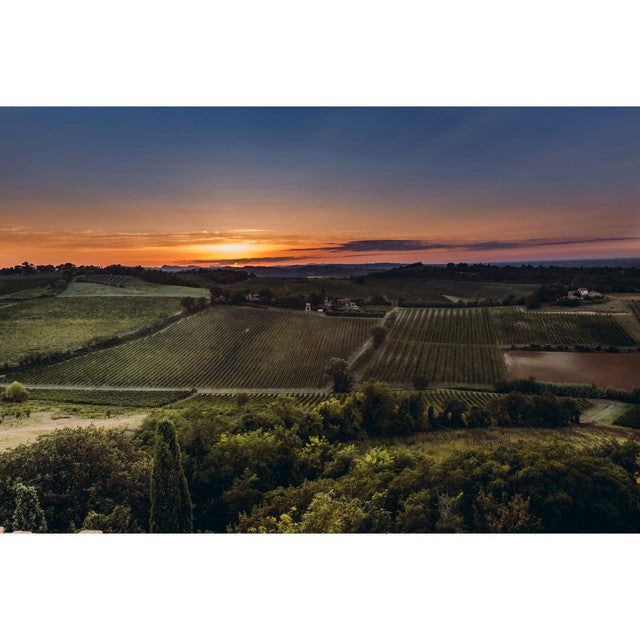 Bricchetto Montepulciano D'Abruzzo red wine 75cl - British product