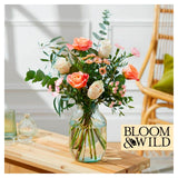 Sainsburys Bloom  Wild The Lovely Blooms