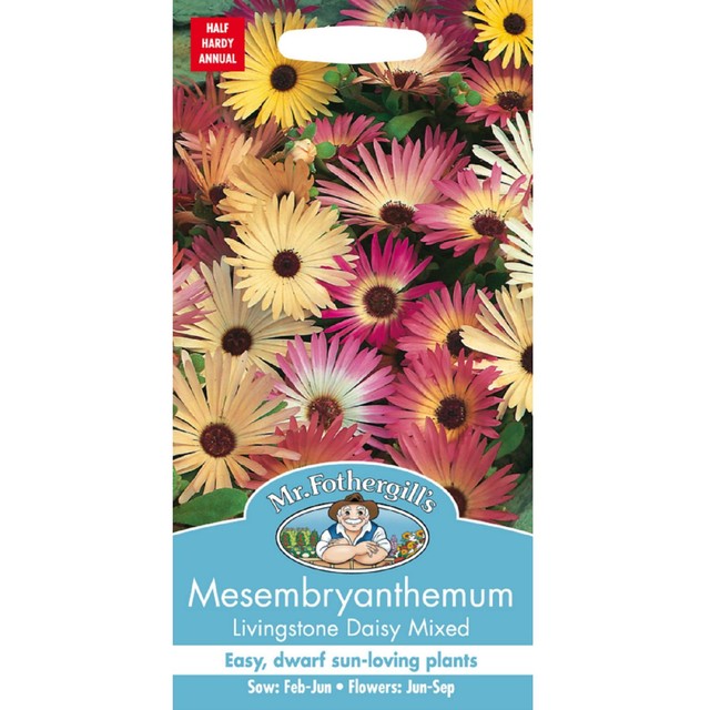 Mr Fothergills Livingstone Daisy flower seeds, imported from the UK