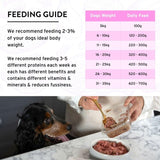 Benyfit Natural sensitive raw dog food 1kg - British product