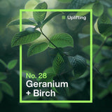 INEOS Non Bio Laundry Capsules Geranium + Birch 24 Washes, UK version