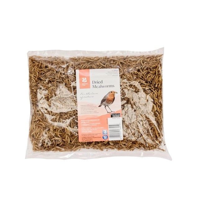 National Trust CJ Wildlife dried mealworms 250g, imported from the UK