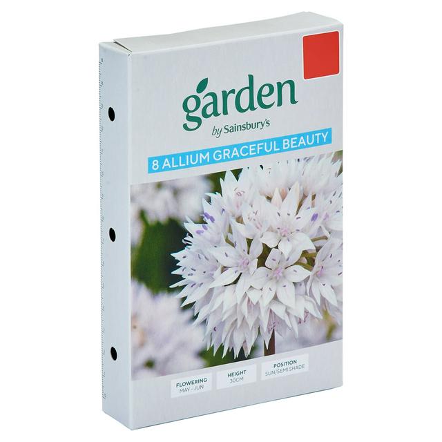 Allium Graceful Beauty Flower Seeds, Pack of 8