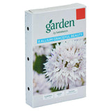 Allium Graceful Beauty Flower Seeds, Pack of 8