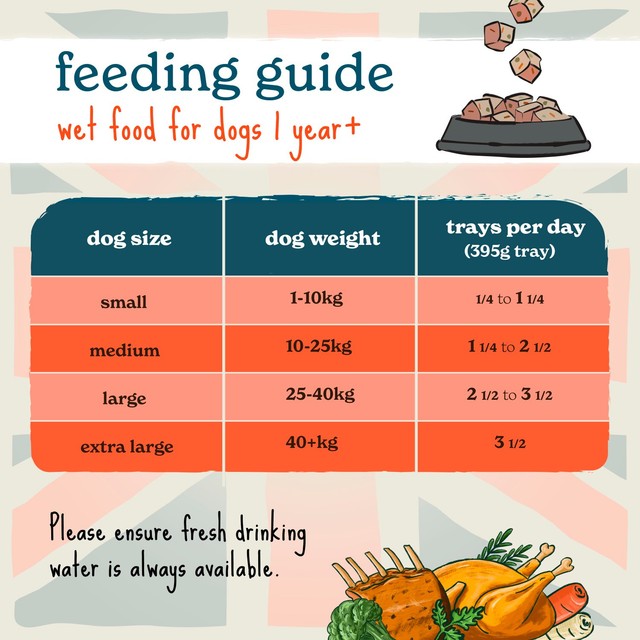Forthglade wet dog food hearty turkey stew 395g - British product