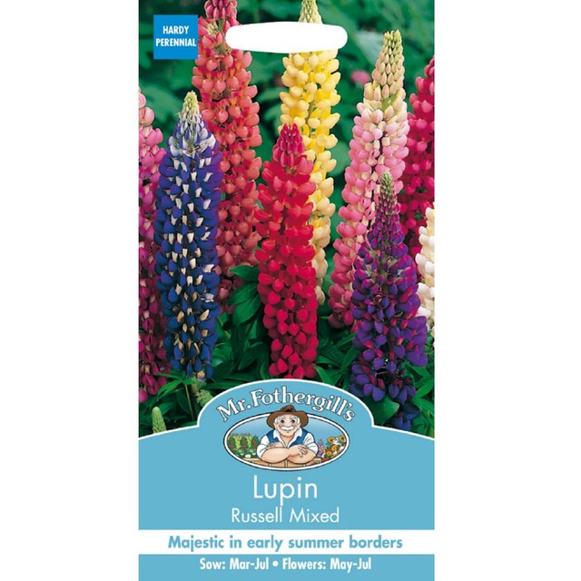 Mr Fothergills Seeds Lupin Russell Mixed flower seeds 75 seeds, imported from the UK