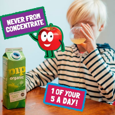 Pip Organic naturtrüber Apfelsaft H-Milch 1 l