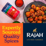 Rajah paprika powder 100g, imported from the UK