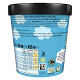 Ben & Jerry's peanut butter cup ice cream tub 465ml - British product
