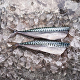Hook, Line and Sinker headed and gutted mackerel 300g, UK version