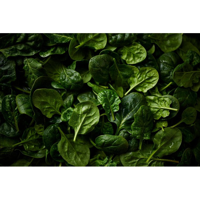M&S Young Spinach Washed & Ready to Cook 320g, imported from the UK