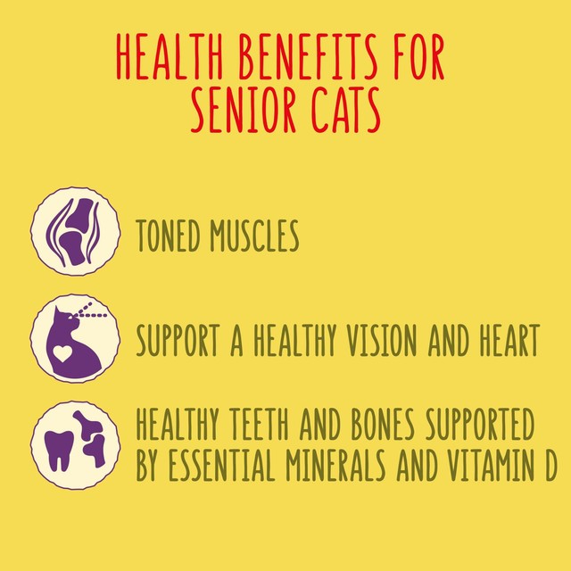 Go-Cat senior chicken and turkey dry cat food 750g, UK version