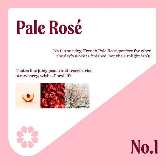 Nice brand Pale Rose 187ml aluminium drink can, imported from the UK