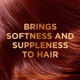 Garnier Argan Richness shampoo 400ml, UK version
