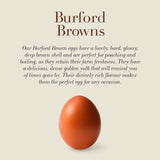 Clarence Court Burford Brown Mixed Size Free Range Eggs 10 pack - British product