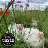 Packington free range large chicken 2.46kg, imported from the UK