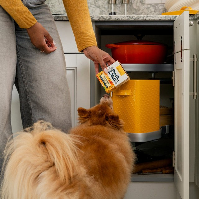 Pooch & Mutt chicken wet dog food 375g, imported from the UK