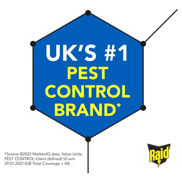 Raid insect killer with eucalyptus oil 300ml, imported from the UK