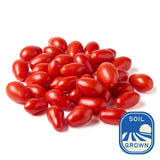 Natoora Sicilian Datterini Tomatoes 350g, imported from the UK