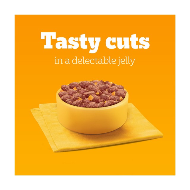 Pedigree wet dog food pouches mixed in jelly variety pack 12 x 100g, imported from the UK