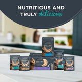 Encore mixed multipack cat food tins 12x70g - British product