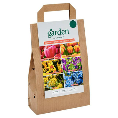 Sainsburys Garden Bulbs Vibrant Bulb Collection x50