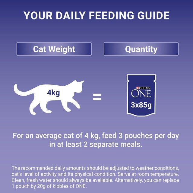 Purina One Senior cat food 8x85g, imported from the UK