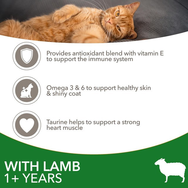 IAMS adult dry cat food lamb 3kg, UK version