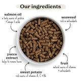 Forthglade Salmon with Sweet Potato Dog Food 2kg - British product