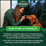 Winalot Shapes dog biscuits 800g (British brand)
