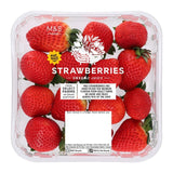 M&S XL strawberries 400g (British brand)